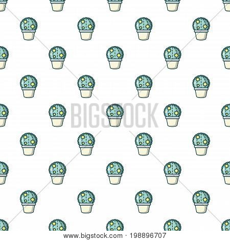 Astrophytum cactus pattern in cartoon style. Seamless pattern vector illustration