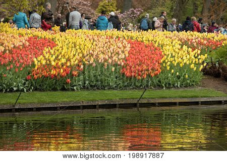 LISSE NETHERLANDS - APRIL 19 2017: Visitors at the Keukenhof Garden in Lisse Holland Netherlands.
