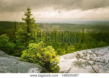 A Beautiful Panorama Of Lake And Forest From Koli National Park Peaks