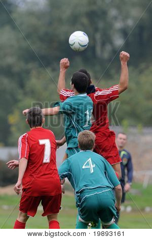 헝가리 내셔널 챔피언십 u 행동에 KAPOSVAR, 헝가리-10 월 16 일: Tamas Kertesz (7)