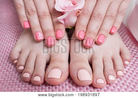 Hands with manicure, feets with pedicure. Female hands and feet on pink background top view. Result of spa salon procedure