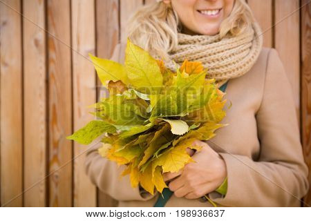 Closeup of woman's hands holding beautiful bunch of yellow marple leaves. Young smiling woman walking in park and making bouquet of autumn leaves. Happy autumn thanksgivining and lifestyle concept