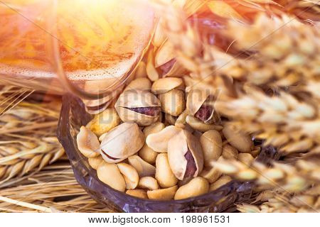 Pistachio nuts peanuts and potato chips a snack for beer lying in a glass dish surrounded by ingredients for making malt for beer bread. Spikes of wheat barley oats rye.