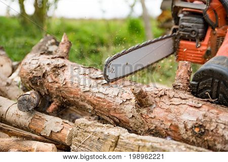 Man saws firewood with a red chainsaw