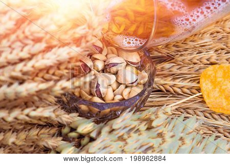 Pistachio nuts peanuts and potato chips a snack for beer lying in a glass dish surrounded by ingredients for making malt for beer bread. Spikes of wheat barley oats rye.