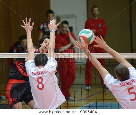 KAPOSVAR, Macaristan - 24 Şubat: Balazs Bagics (içinde siyah) bir Macar ulusal C topu grev