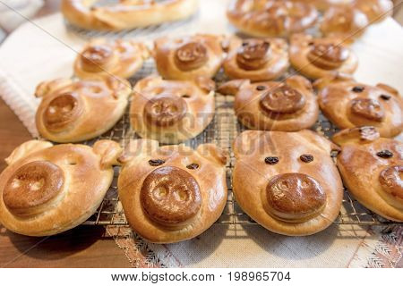 Lucky cakes with a pig's face lie on a baking tray
