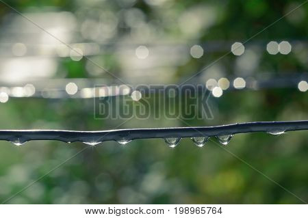 Rain drops weigh on the linen rope on a warm summer day
