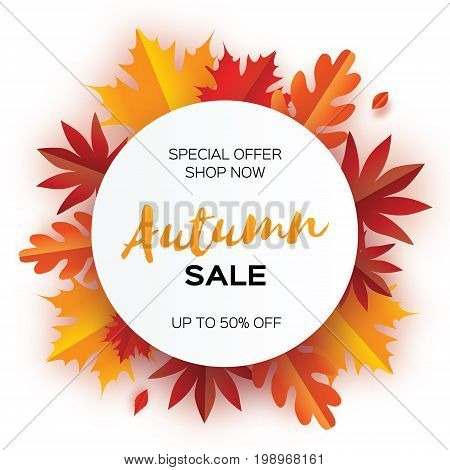Beautiful Autumn paper cut leaves. Sale. September flyer template. Circle frame. Space for text. Origami Foliage. Maple, oak. Fall poster background. Vector illustration.