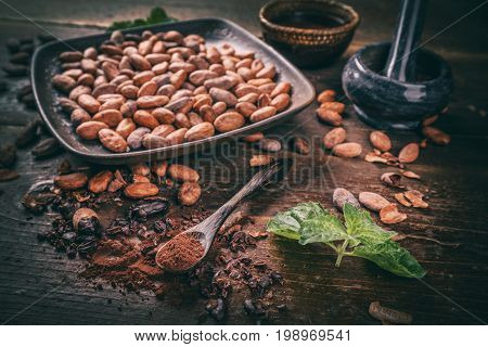 Cacao Beans And Cacao Powder