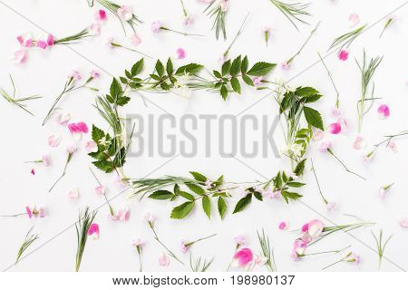 Flowers Composition. Frame Made Of Pink Carnation Flowers, Rose Petals, Needle-shaped And Big Astilb