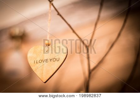 Wooden heart hanging on a branch on a blurred background