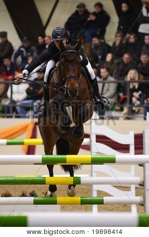 KAPOSVAR, Ungarn - 27. marts: Lukas Koza hopper med sin hest (El Camp) på Masters turneringen i