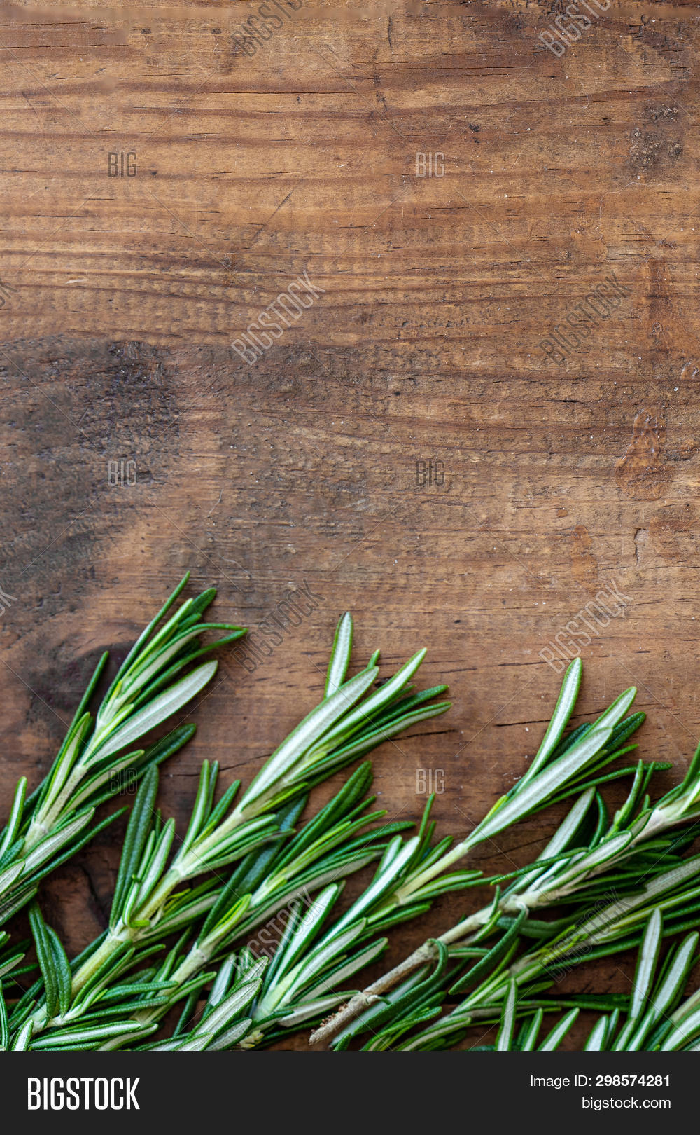 Rosemary Herb On Image & Photo (Free Trial) | Bigstock
