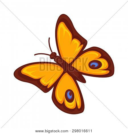 Orange butterfly isolated on white background. Morpho rhetenor  illustration