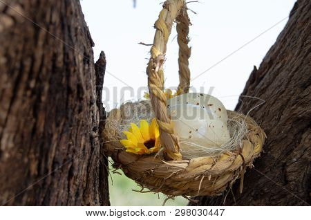 Two Quil Eggs In Basket Between Tree Bark - Easter Concept.