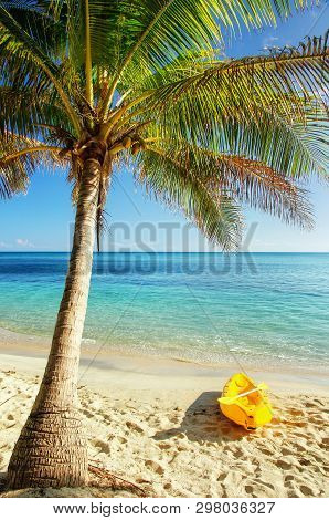 Sea Kayak On The Beach Near Palm Tree, Nacula Island, Yasawas, Fiji