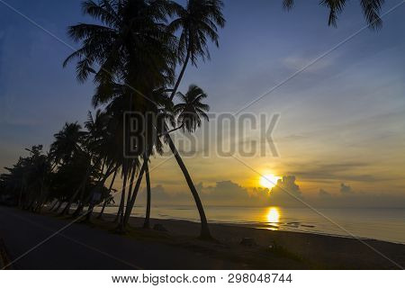 Sunrise Idyllic With Shadow Of Group Coconut On Beach At Thung Wua Lan Beach, Chumphon Province Thai