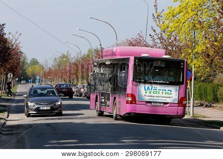 Orebro, Sweden - April 26, 2019: Rear View Of A Purple Colored City Bus In Service On Line 7  And He
