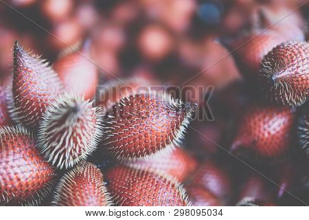 Salacca Wallichiana Is Asia Fruit At Fruit Market