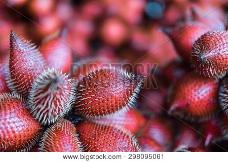 Salacca Wallichiana Is Asia Fruit At Fruit Market