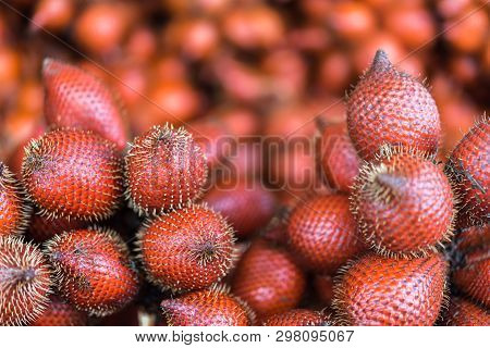 Salacca Wallichiana Is Asia Fruit At Fruit Market