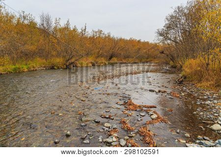 Hot Water In Malkinskiye Hot Springs. River And Forest In Autumn Color, Peninsula Kamchatka, Russia.