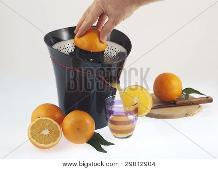 オレンジ絞り器
