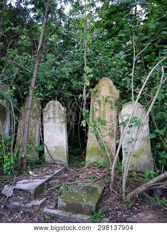 Chernivtsi, Ukraine - 12 May 2009 Abandoned Jewish Cemetery With Stone Graves Between Trees. Photo C