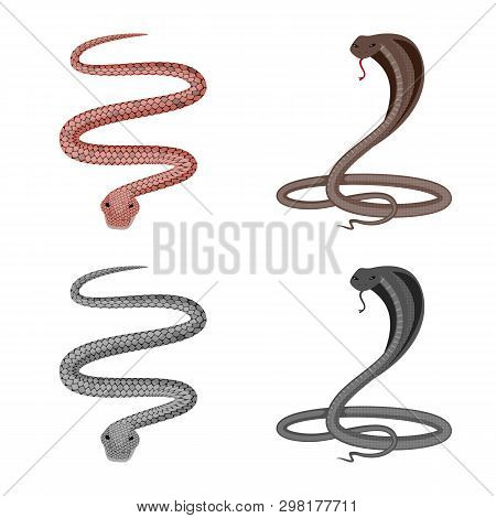 Vector Design Of Mammal And Danger Sign. Set Of Mammal And Medicine Stock Vector Illustration.