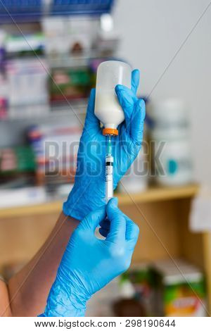 The Veterinarian Women With Blue Gloves Extract A White Drug With A Syringe