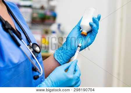 The Veterinarian Women With Blue Gloves And  Stethoscope Extract A White Drug With A Syringe