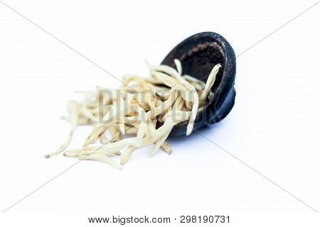 Close Up Of Popular Indian & Asian Ayurvedic Herb Isolated On White In A Clay Bowl I.e. Musli Or Saf