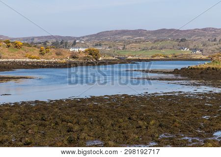 Farms And Vegetation Around Bay