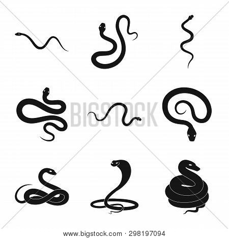 Vector Design Of Nature And Medicine Icon. Collection Of Nature And Evil Stock Vector Illustration.