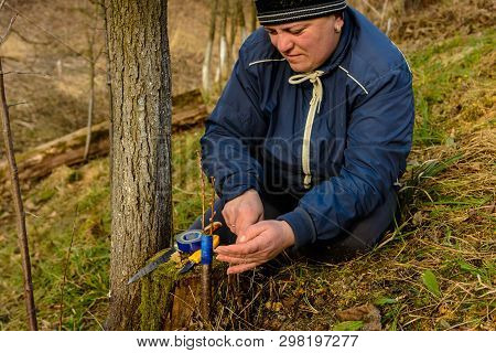 Woman Wraps A Graft Tree With An Insulating Tape In The Garden To Detain The Damp In It In Close-up