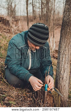 Woman Wraps A Graft Tree With An Insulating Tape In The Garden To Detain The Damp In It In Close-up
