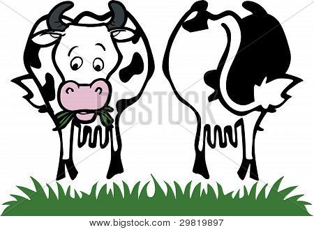 Kráva přední a zadní