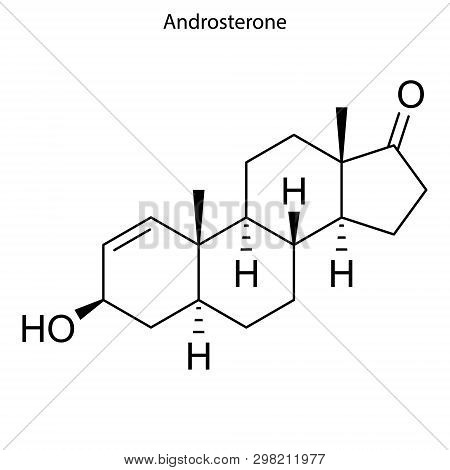 Skeletal Formula Of Androsterone. Steroid Molecule . Template For Your Design . Template For Your De