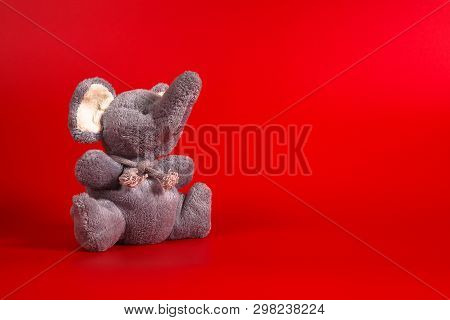 Funny Cute Grey Gray Plush Elephant Toy Isolated On Golor Background. Isolated, Blue, Red, White. Co