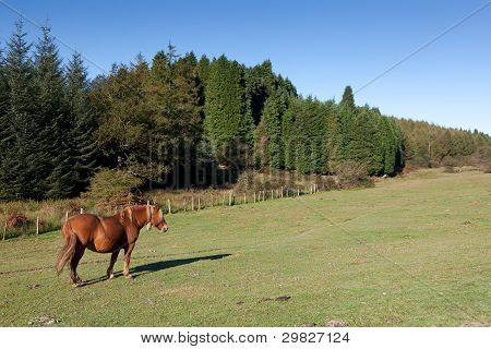 Gorbea Natural Park