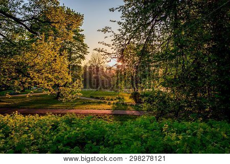 Spring Evening Park. Park At Sunset. Evening Sun Russian Park. Park In The Green. Urban Park. Evenin
