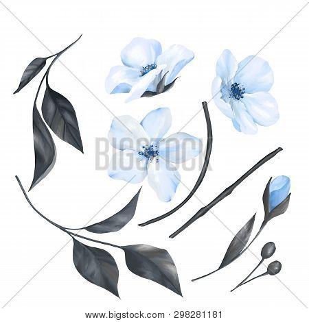 Collection Of Pring Flowers And Leaves Isolated On White Background