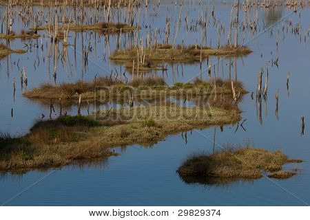 Parque Natural de Saja-besaya