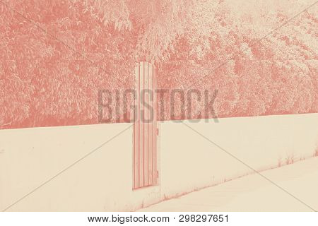 Picture Of A Wooden Door Painted With Red Color And Red Headge Over Stone Basement. Contrast Picture