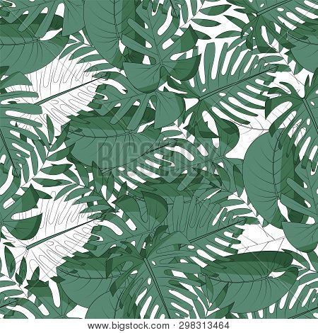 Seamless Pattern With Tropical Exotical Leaves. Light And Dark Green Colors. Monstera, Palm Leaves, 