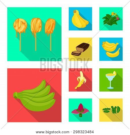 Isolated Object Of Natural And Vegetarian Sign. Set Of Natural And Eating Stock Vector Illustration.