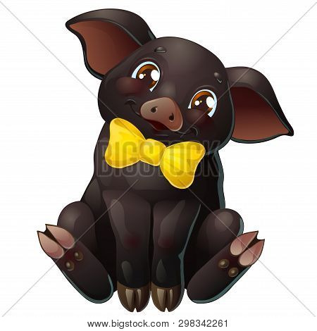 Cute Black Pig With Bow Sits On White