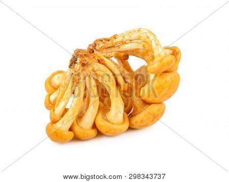 Edible Mushrooms Called Golden Needle Mushroom, Futu Mushroom Or Lily Mushroom On White Background