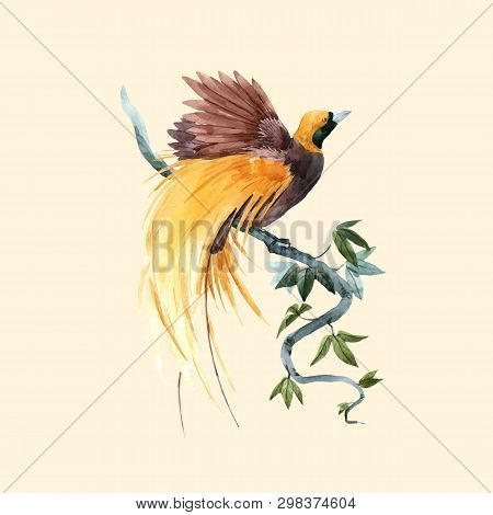 Beautiful Vector Illustration With Watercolor Tropical Flowers And Paradise Bird